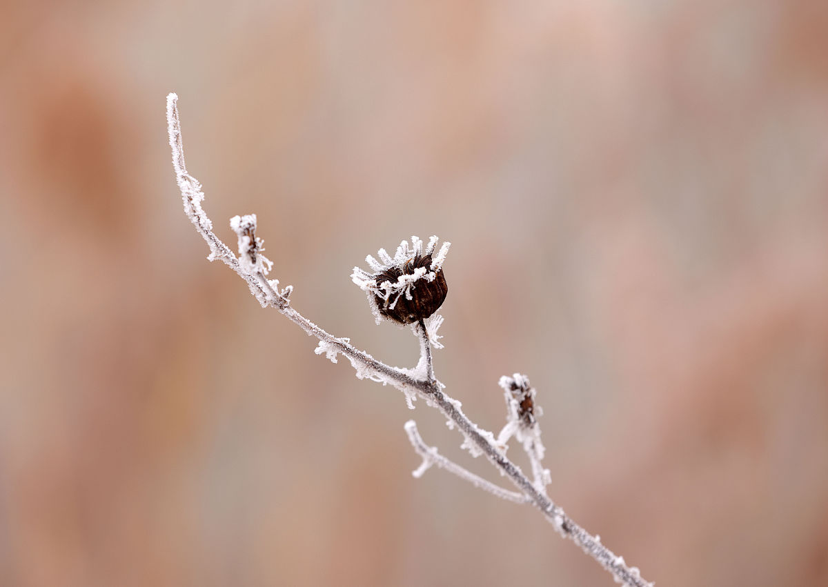 邢台2022年卫校好还是职高好-好麽