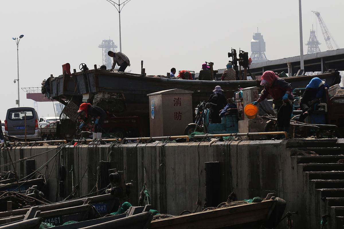 码头污染货物被翻倒，声称检查燃油积聚，货物再次掺混