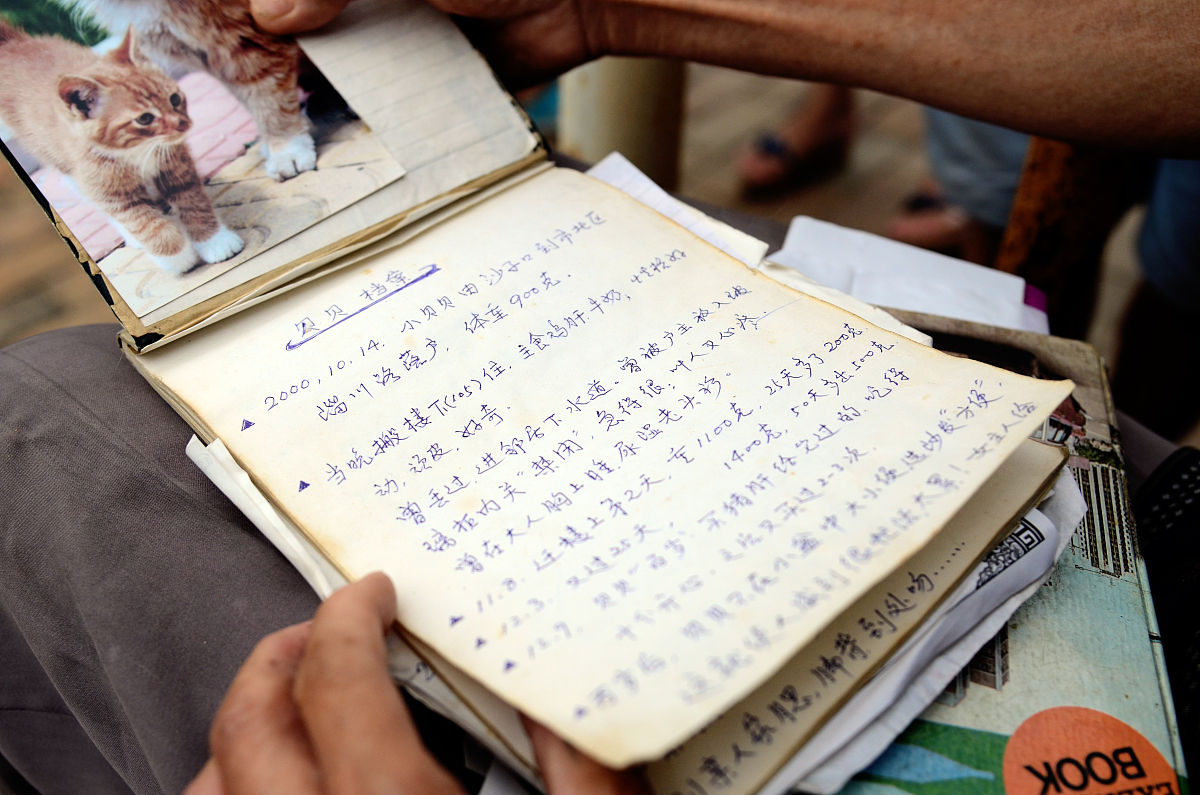 陇南师范高等专科学校小学语文教育专业就业方向有哪些