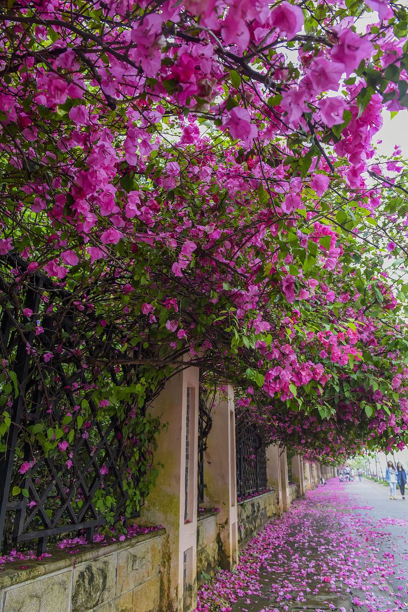 广西城市职业大学室内艺术设计专业就业前景如何