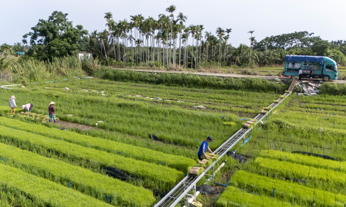 请你对生态农场结合城市对乡村租借土地种植生态植物和实地露营作品亮点和优势进行分析