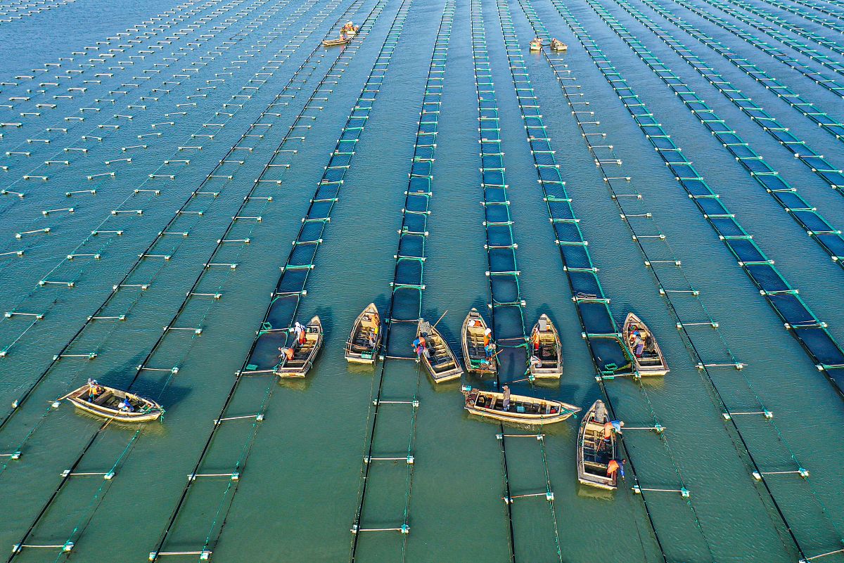 威海海洋职业学院水产养殖技术专业：实践能力提升指南