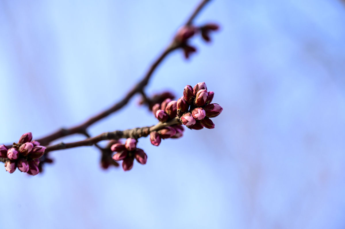 昆明防爆应急灯价格 - 了解最新价格范围