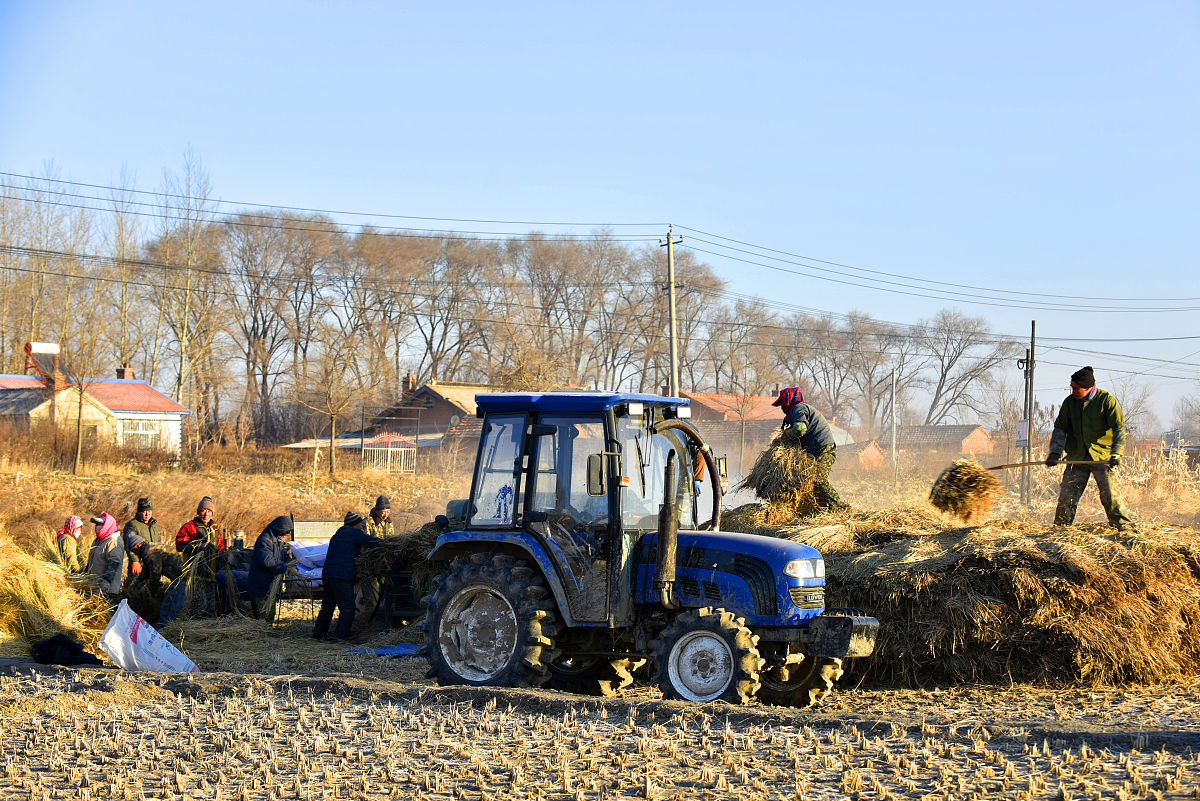 海伦市农业机械化学校怎么样用