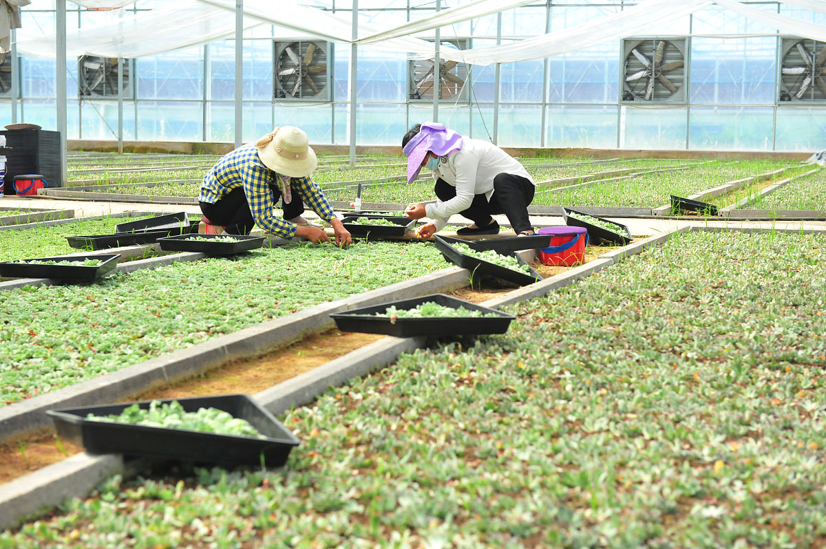 徐州职业教育中心招生办联系电话 徐州职业教育中心招生办联系电话