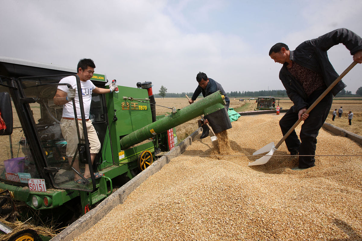 现有一篇主要围绕涡阳大豆对地区脱贫的作用的三下乡调研报告请拟定有文采且符合调研报告主题的调研题目