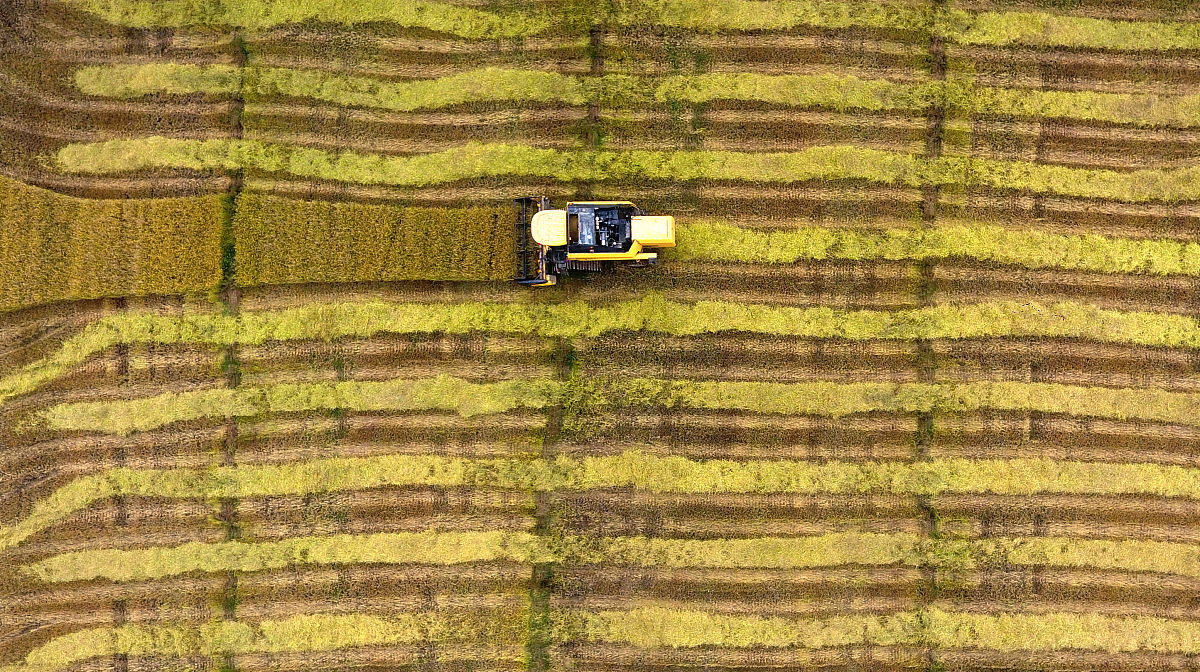 厦门农业工程是冷门专业吗 就业方向及前景怎么样