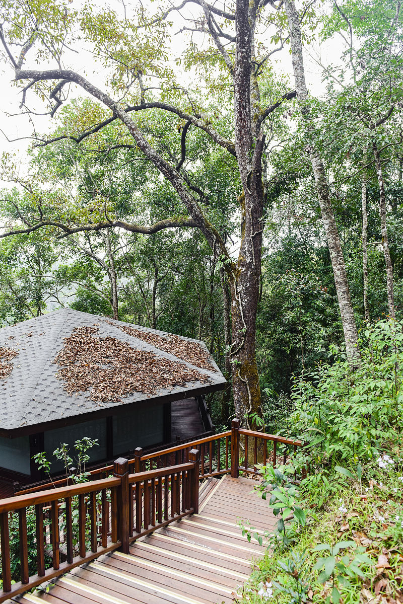帮忙写下入住贵州兴义云囤树屋酒店的小红书文案吧