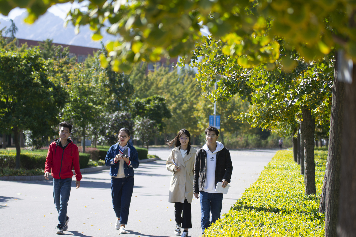 西北农林科技大学的木材科学与工程专业主要学习哪些课程