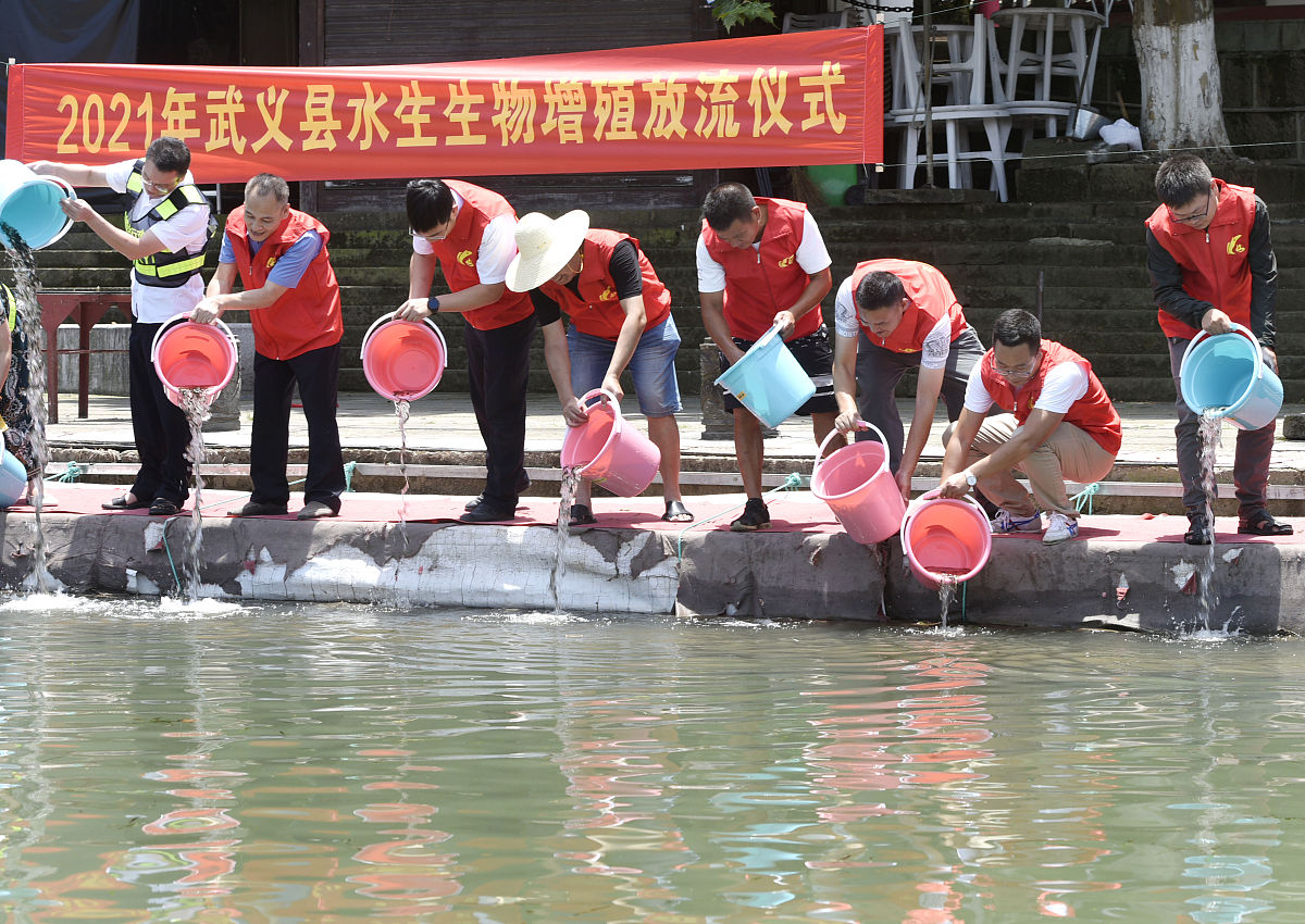 做一个情感类形的文案加图片