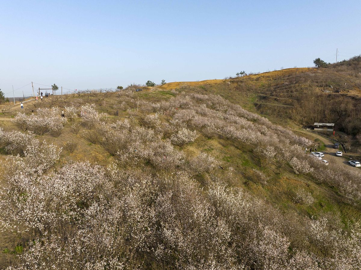 襄阳护士学校2022年怎么样？发展前景如何？-附学校优势