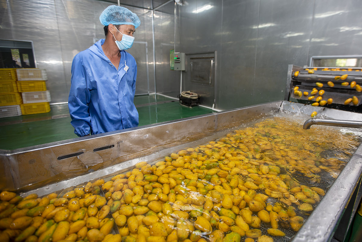 枇杷加工设备工业互联网平台视频监控区功能介绍