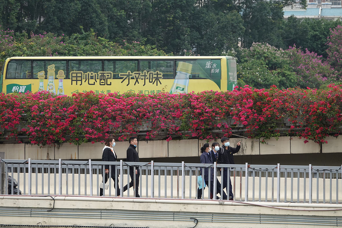 南宁花卉公园坐地铁怎么去