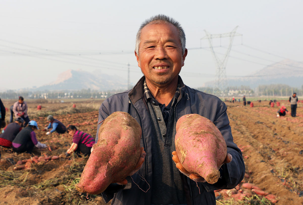 建筑工程建立完善的精细化管理制度方法