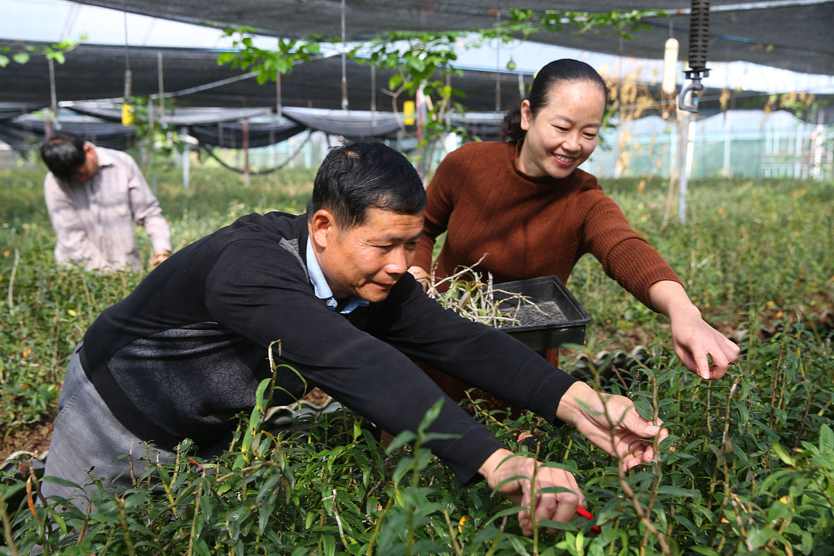 贵州中医药职业学校招生办公室电话是多少？