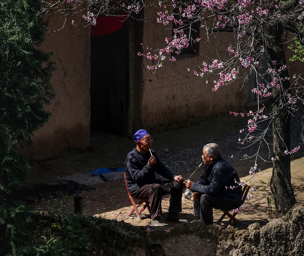 探访乡村独居老人短视频案例分析：场景、问答、互动总结