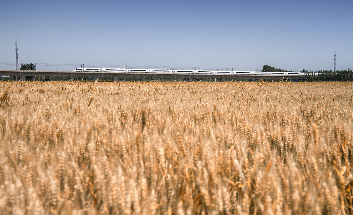 初中生能上石家庄高铁吗？用发