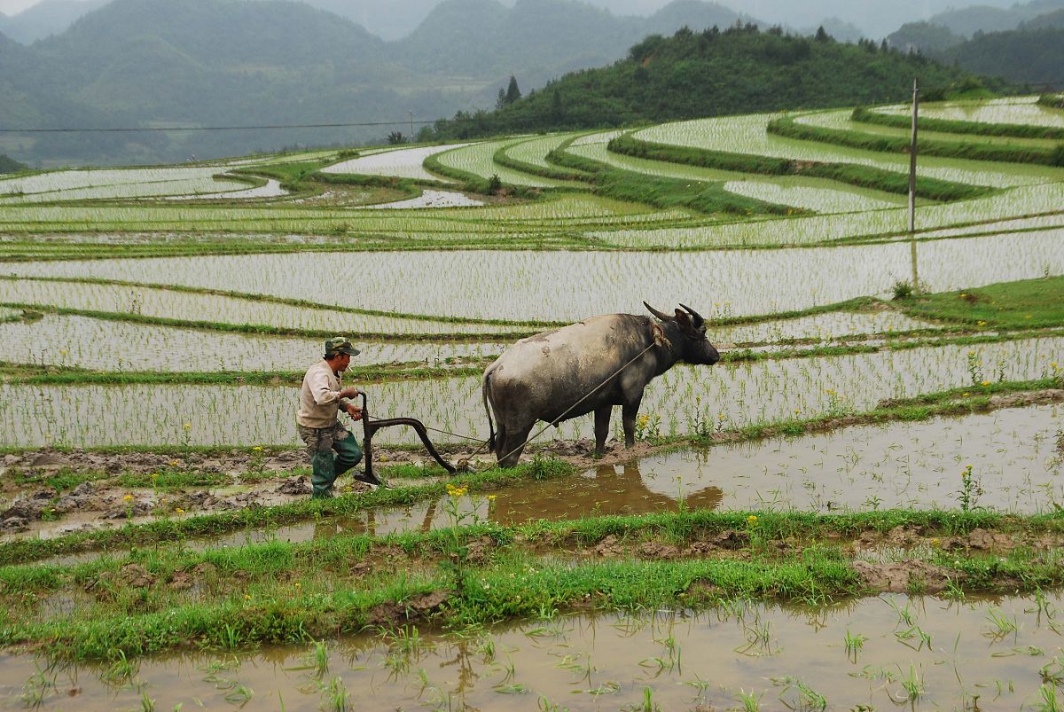 贵州2021哪所汽修学校好