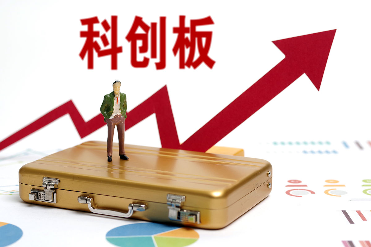 你好目前中国企业去上交所科创板上市的具体标准有哪些？