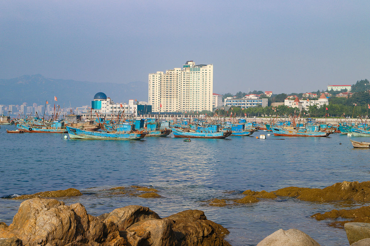 2019年06月26日,山东威海,近海海域停满了渔船.