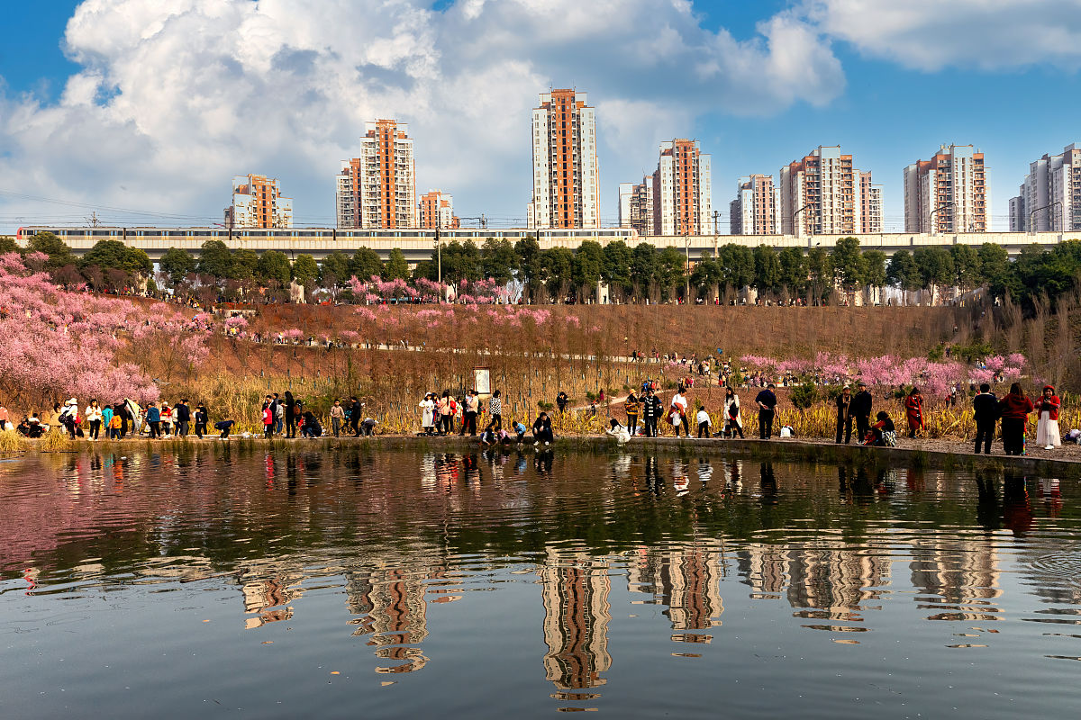 重庆护理学校录取分数线预测 - 2022年报考指南