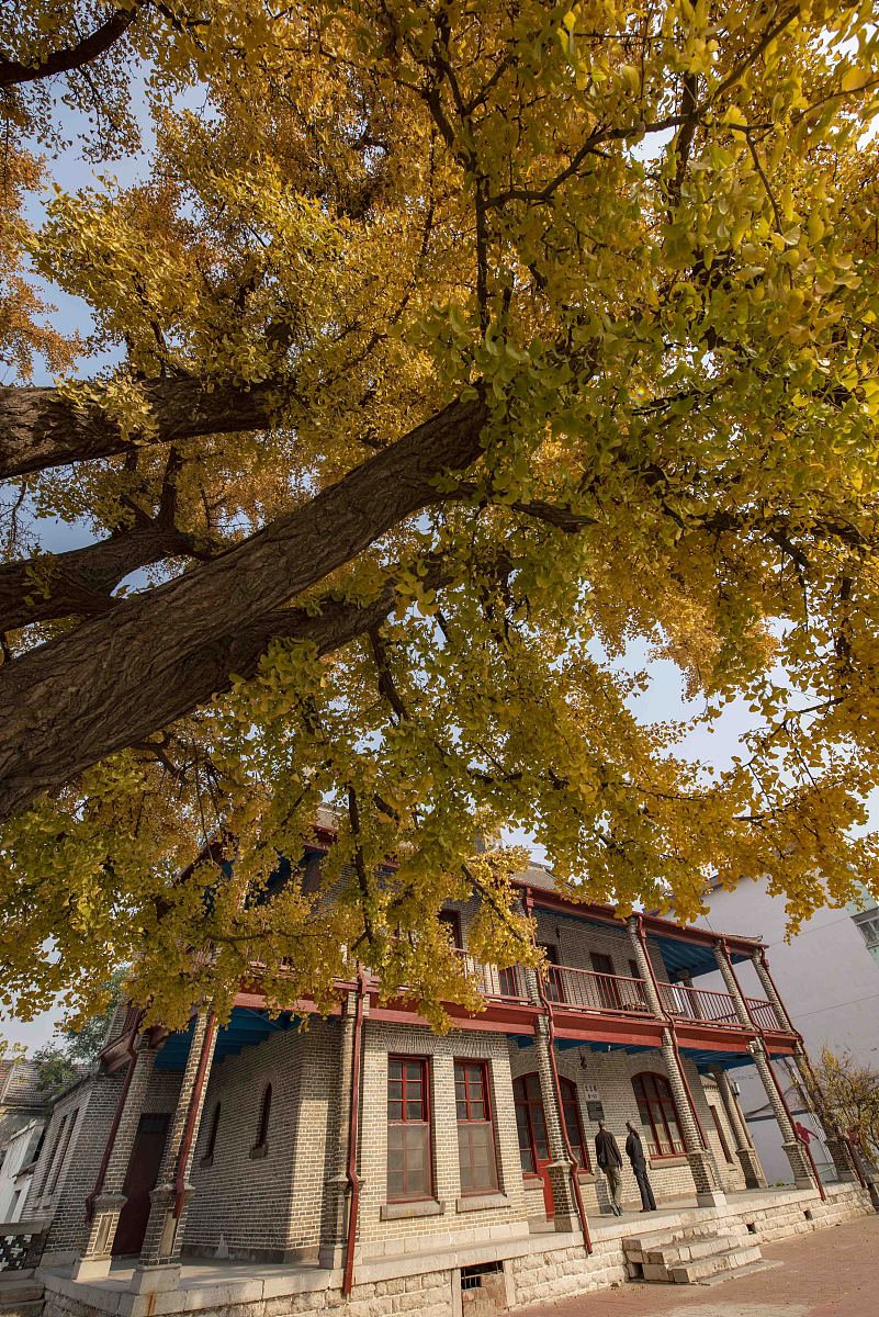 潍坊职业学院园艺技术（3+2）专业：培养你的创新能力