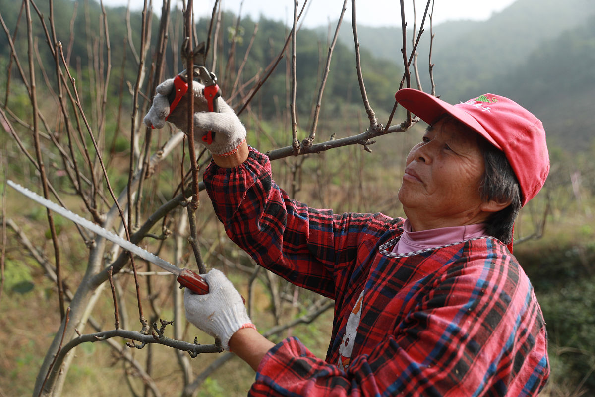 广安技师学院2019年招生简章：大专本科专业全覆盖