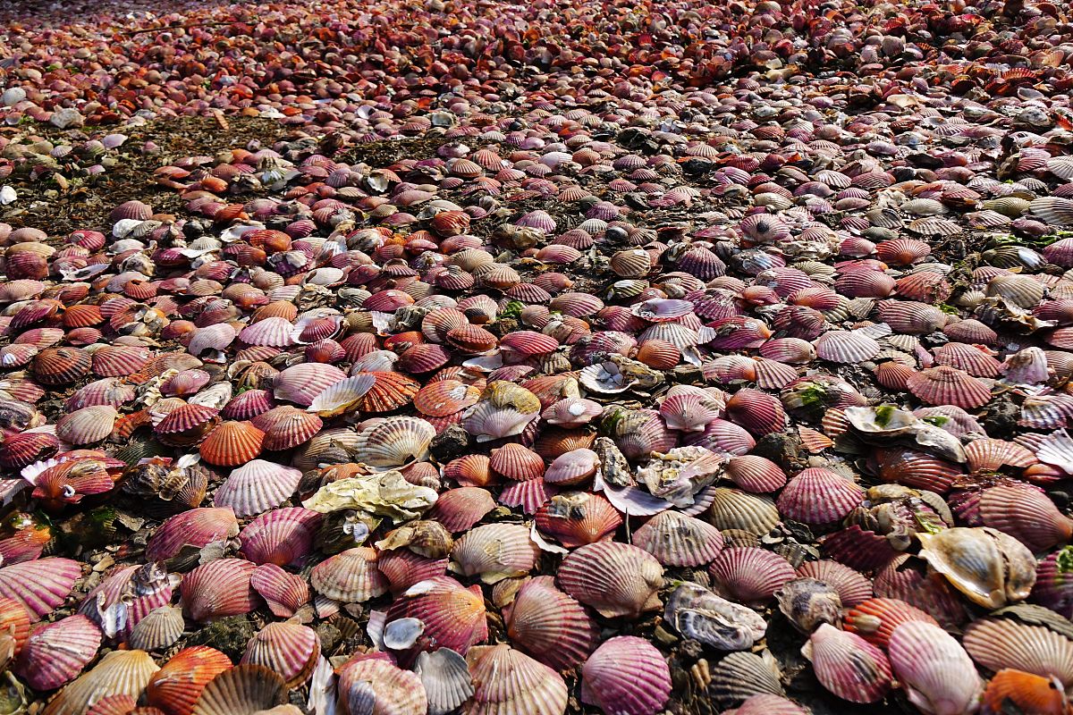 山东城市建设学校2021招生简章