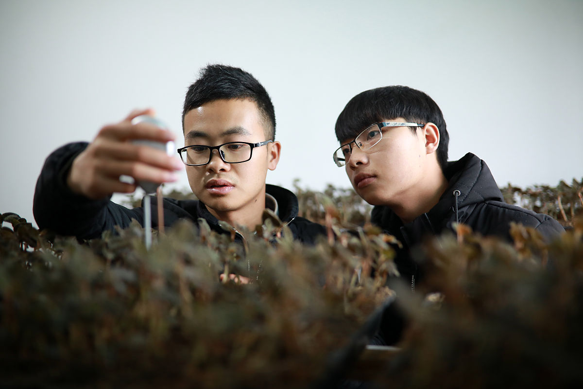 小学六年级毕业感言：告别童年，拥抱未来