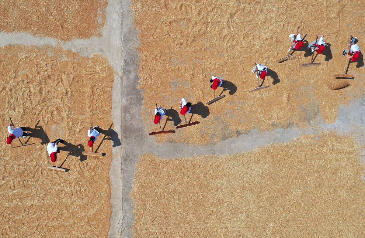 江苏省宿迁卫生中等专业学校2021年招生专业：医学、护理、药学等