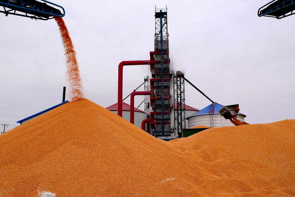 请帮我列一个关于俄乌冲突对国际大宗商品价格影响分析—以小麦、玉米等农作物为例文章的提纲要求用到实证分析