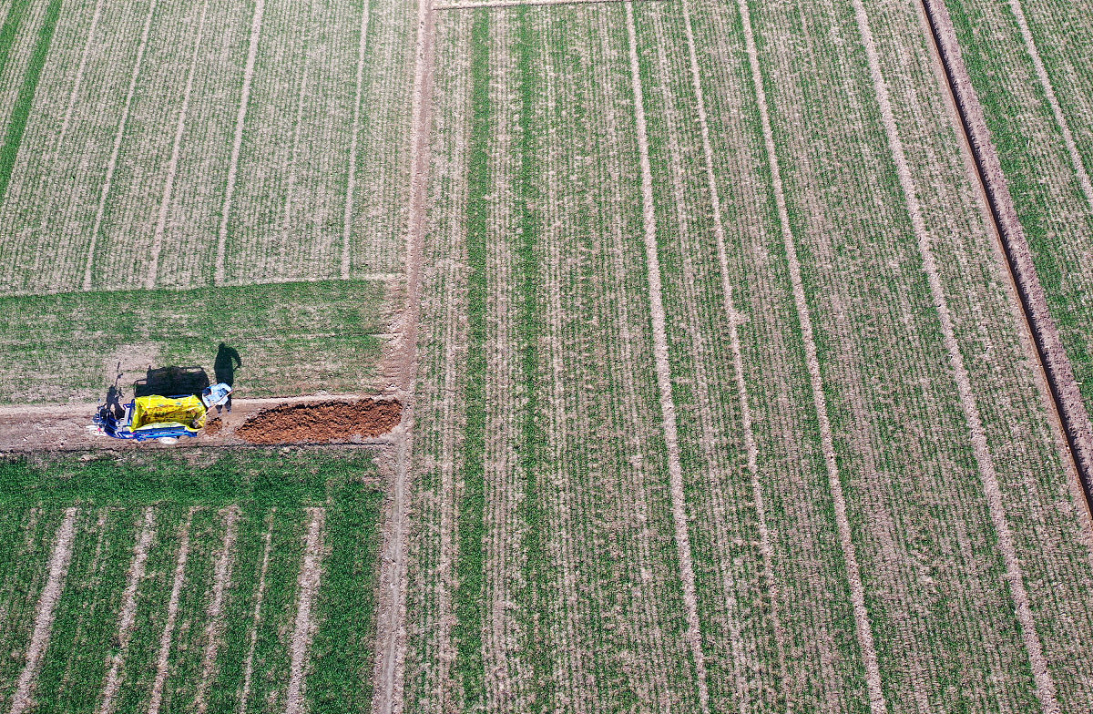 有机肥是有机生产中重要的投入物可以申请有机产品认证。对不对
