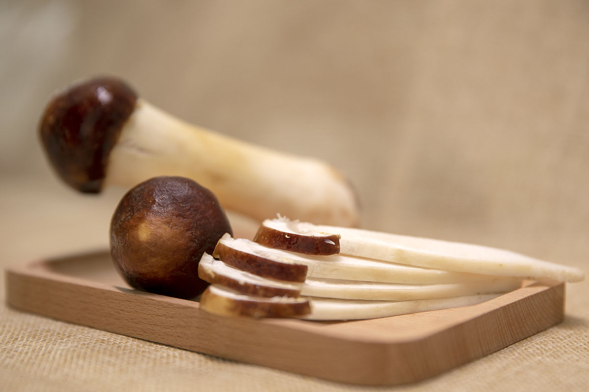 松茸是凉性的还是热性的