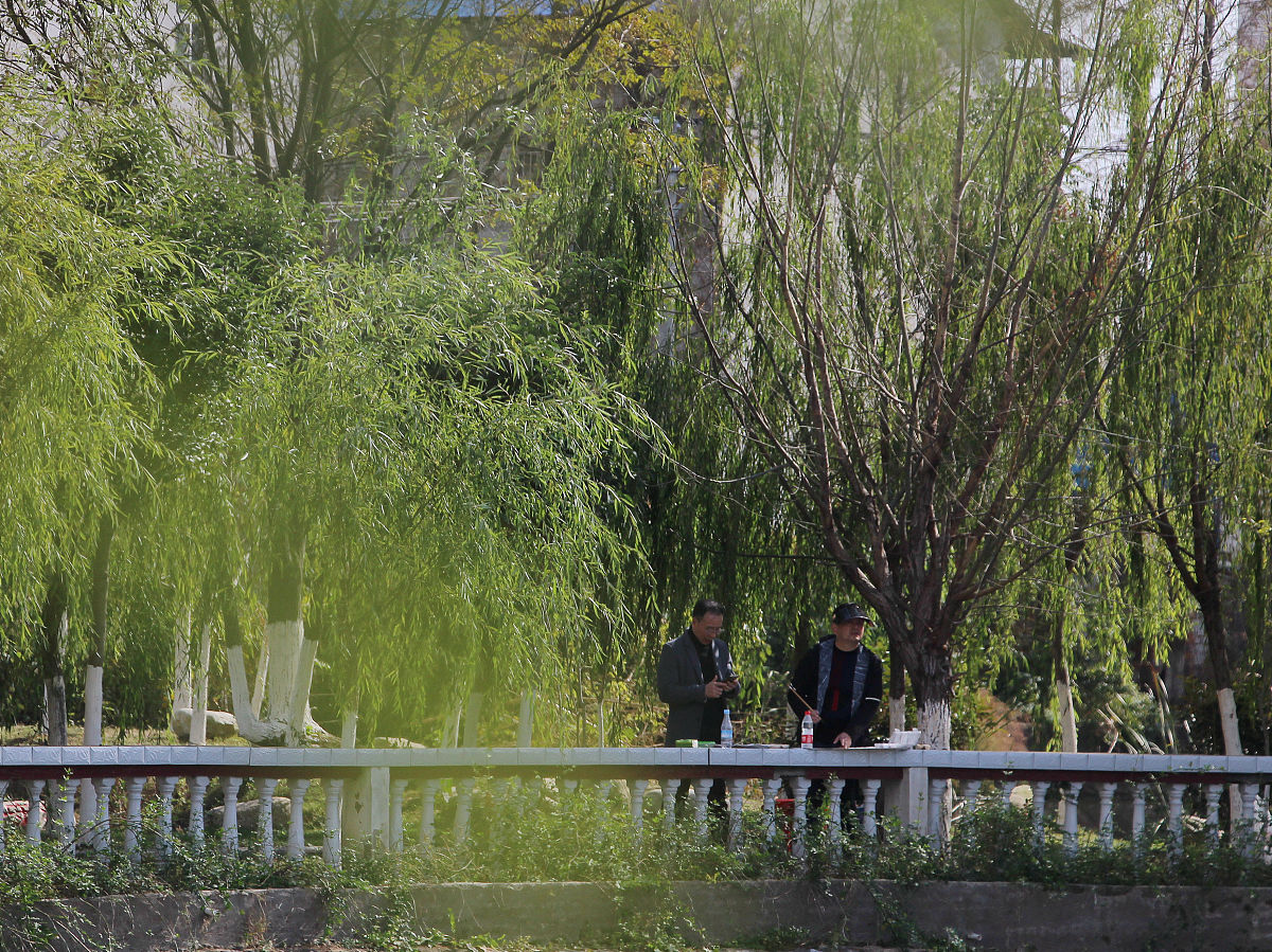 2023年中央一号文件学习心得乡镇工作人员1500字