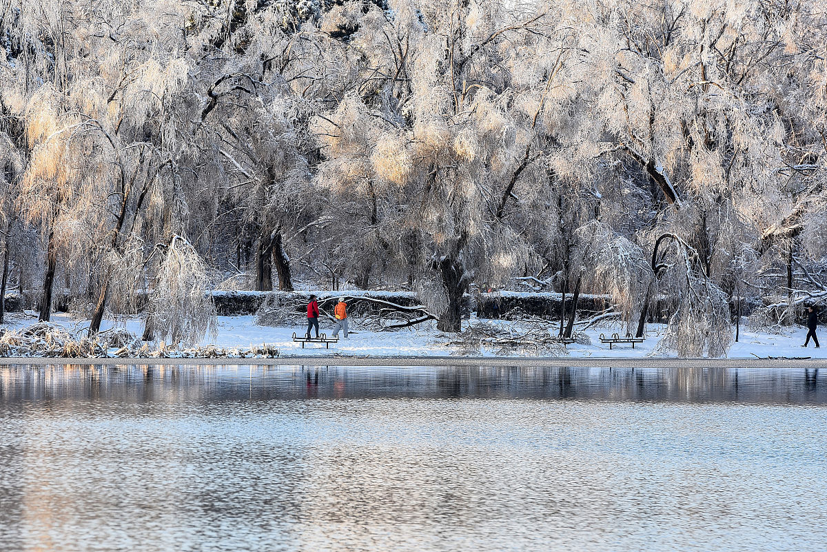 2020年11月20日,一场冻雨加大雪之后,长春整个城市变成水晶世界,南湖