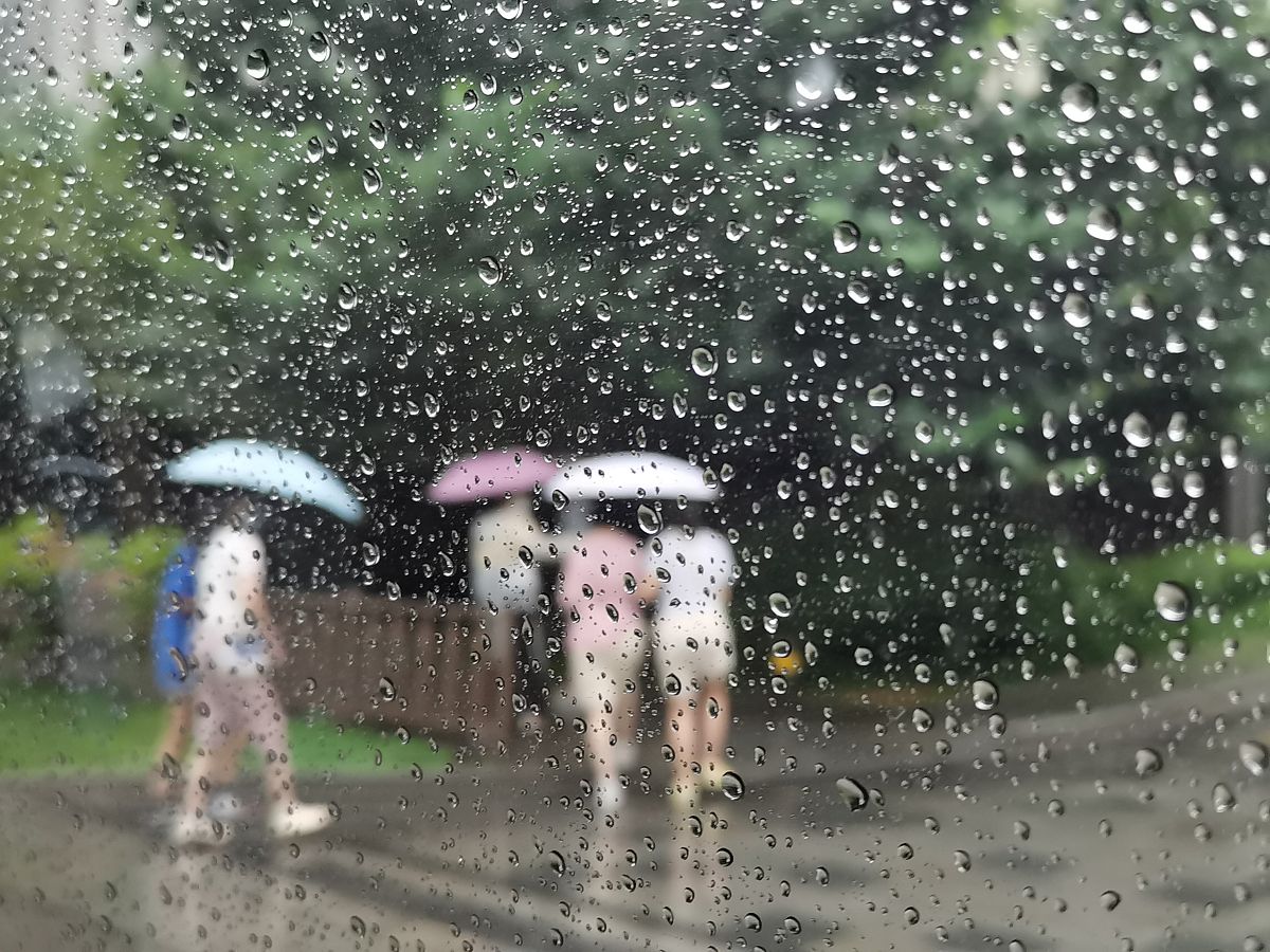 梅雨季节是什么时间