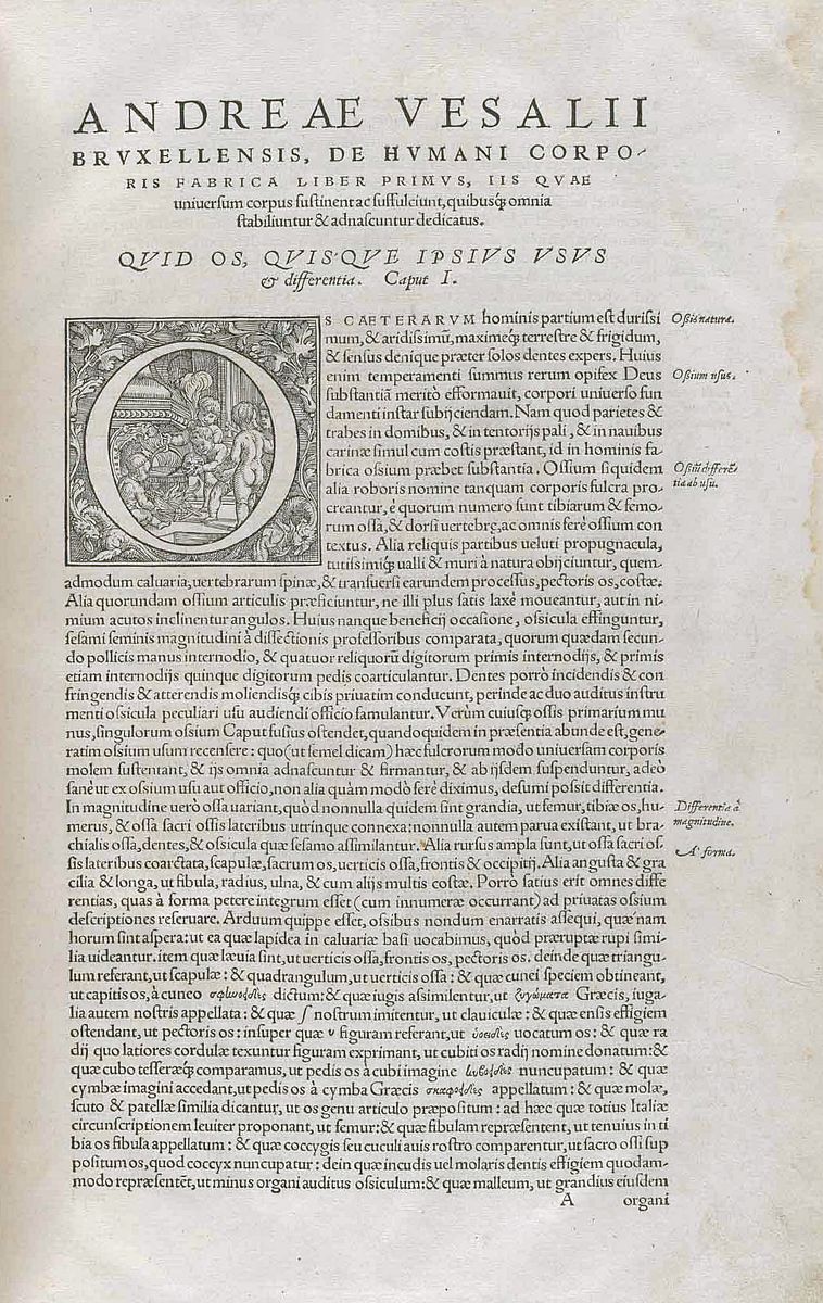 Bulletin of the Malaysian Mathematical Sciences Society: 推动数学研究与学术合作的国际期刊