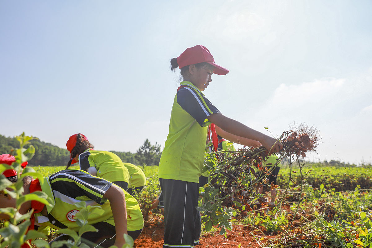 劳动教育心得1100字