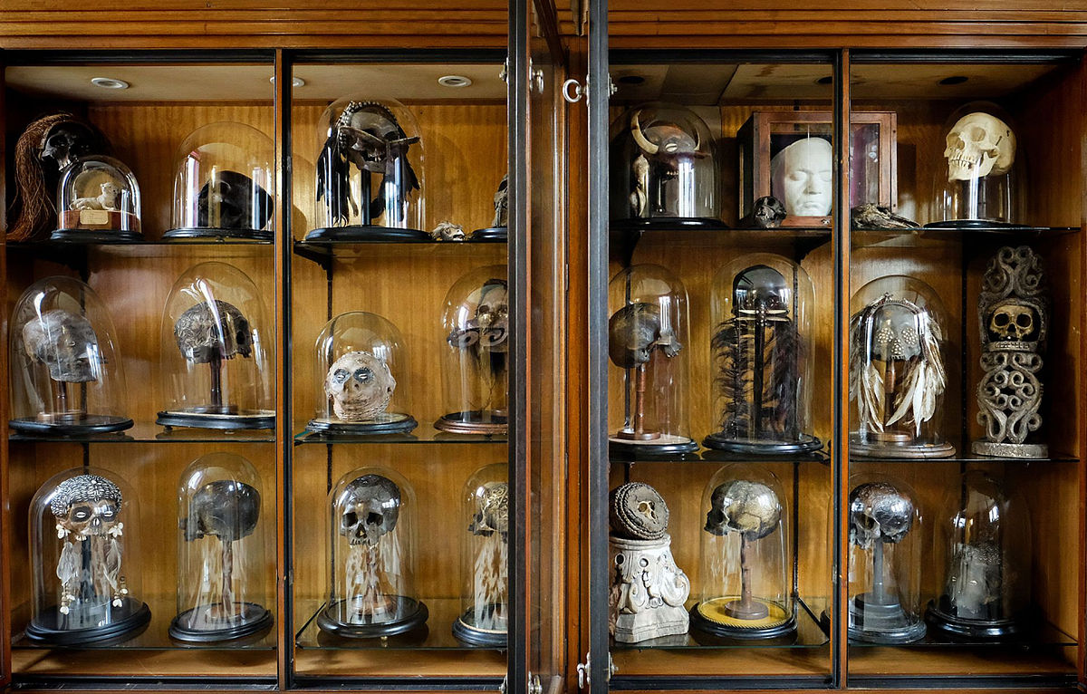 2023年深圳高考527分有什么大学推荐