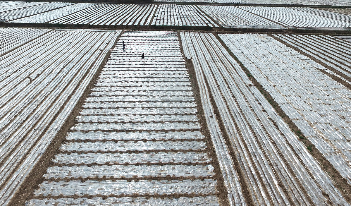 甘肃临夏州职业技术学校2022年招生简章-报名时间-专业设置