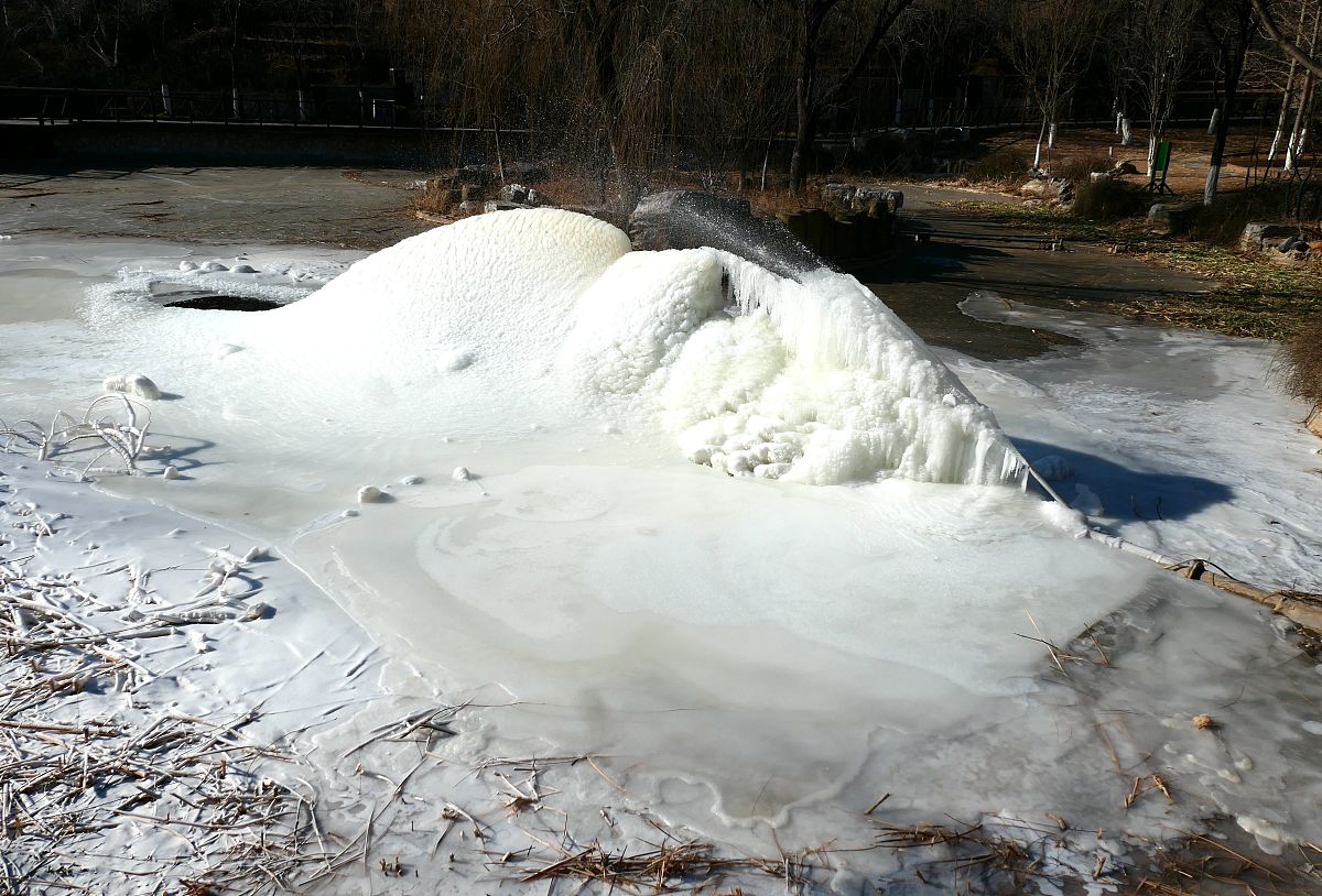 甘肃林业职业技术学院森林生态旅游专业课程设置有哪些