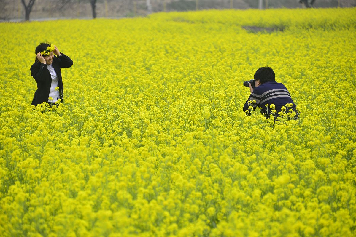 山东科技专修学院文秘专业怎么样？就业前景分析