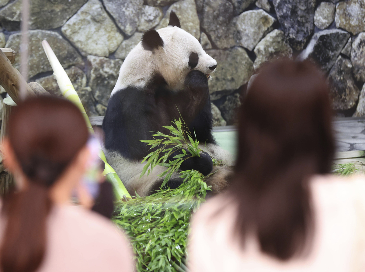 美国熊猫丫丫为什么骨瘦如柴