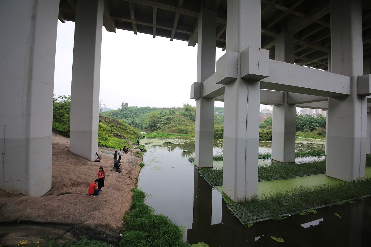 重庆轨道交通学校招生如何