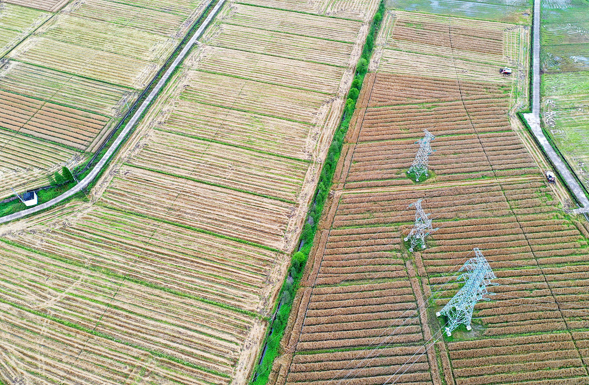 浙江公路技师学院2021年有哪些专业