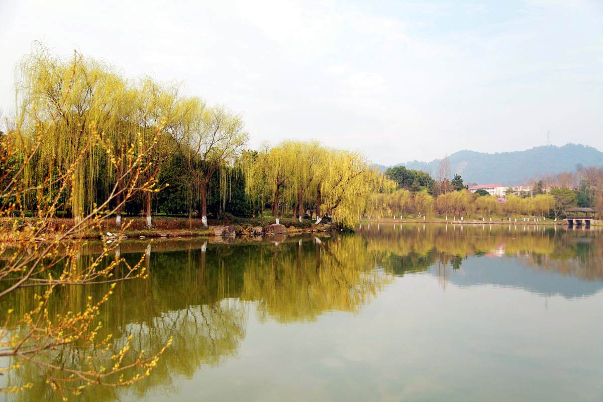 问卷调查法是评价过程中较为常用的一种方式本研究将前述拍摄的样本照片整理制作成调查问卷并通过网络工具发放给博爱湖公园周围住户、游客以及不同文化背景的评价者含风景园林相关专业人士发放佛山市南海区狮山镇博爱湖公园春季美景度评价调查问卷并进行评分。为保证评价结果的合理性及代表性需有足够的评价结果以供后续统计分析。优化语句