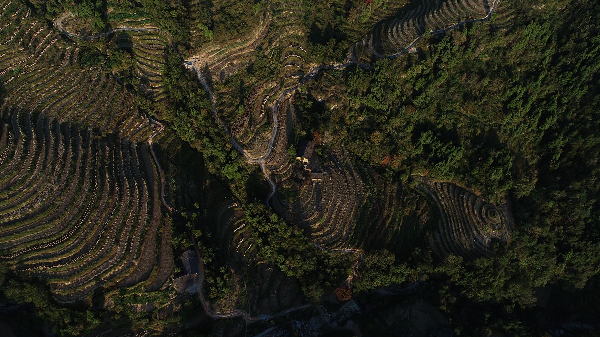 李白风格七言律诗：凤堰梯田云海美景