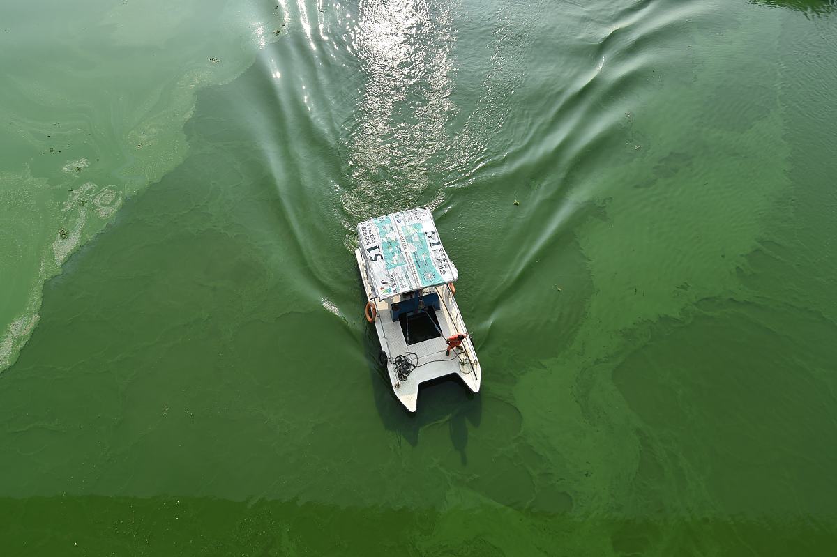 蓝藻打捞船吸头专利和生产公司10个最好是中国的