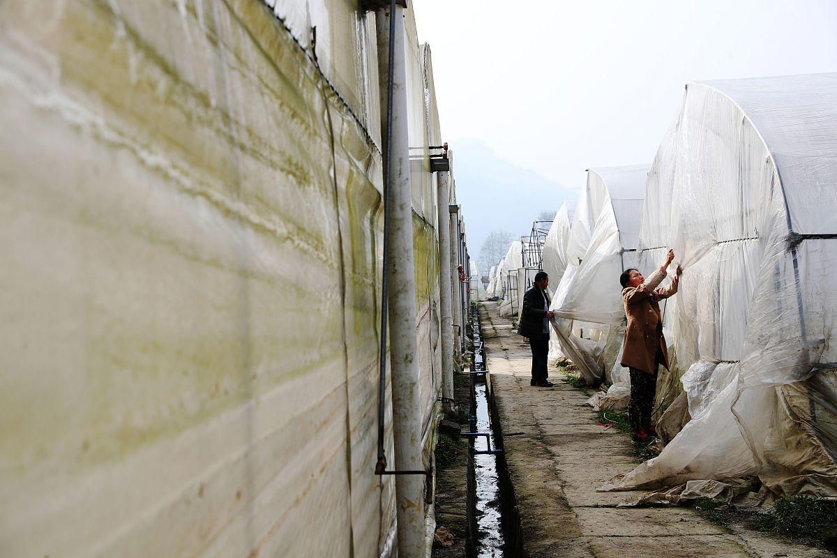 2019年重庆市医药学校招生简章 - 培养医学人才的摇篮