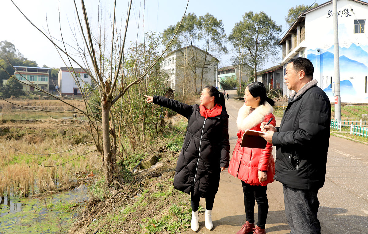 阅读以下链接文章：httpsepaperscdailycnshtmlscrb20230411292586shtml并结合农村基层工作实际写一篇网评文章